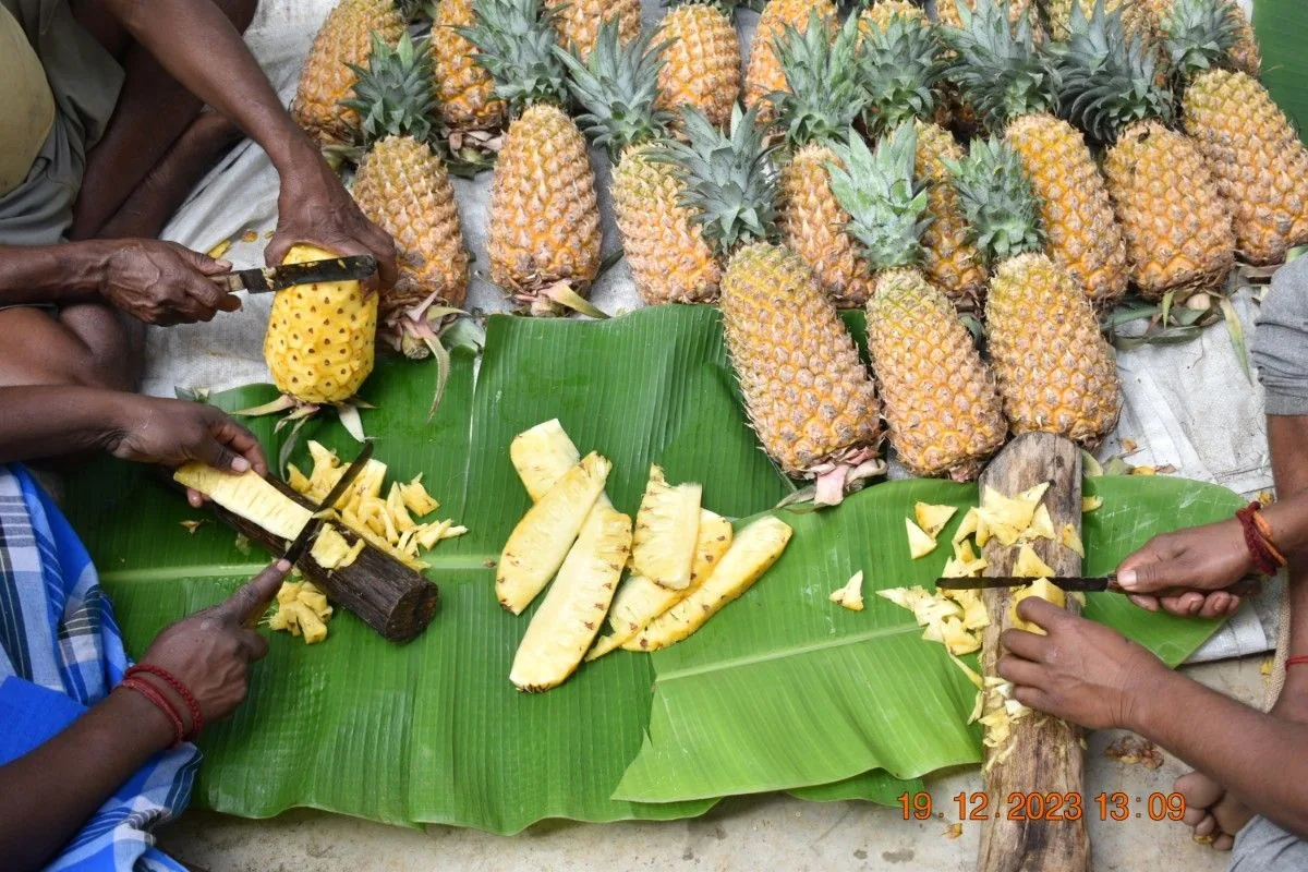 Crafting Excellence — Our Processing Journey — PKC Kudiraipanjan Estate