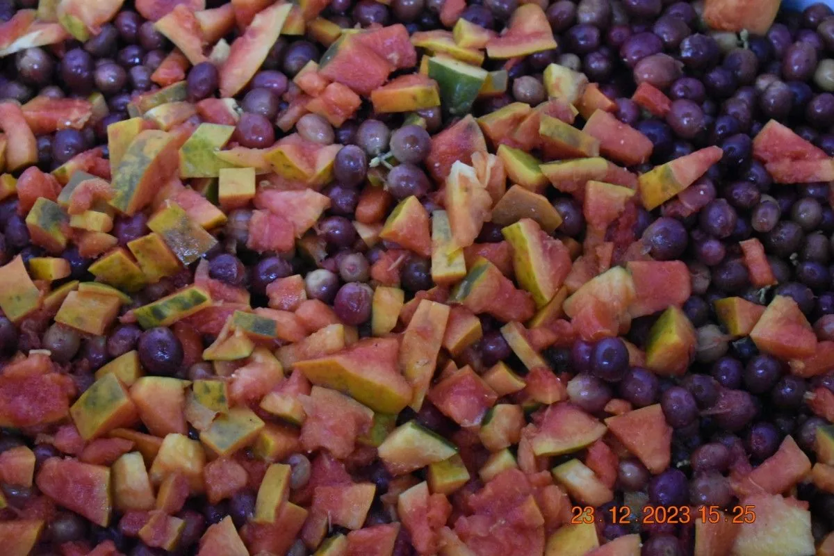 Crafting Excellence — Our Processing Journey — PKC Kudiraipanjan Estate