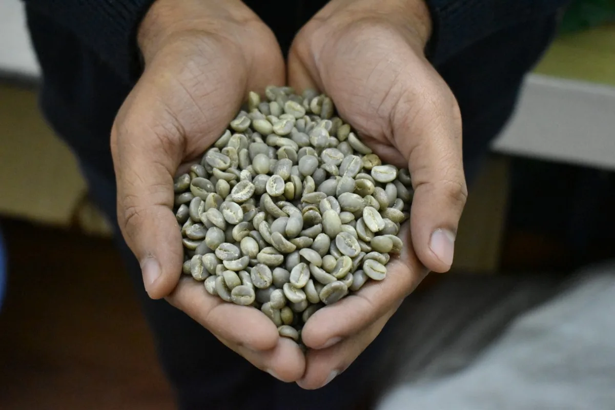 Crafting Excellence — Our Processing Journey — PKC Kudiraipanjan Estate