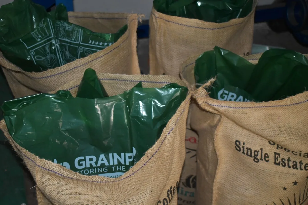 Crafting Excellence — Our Processing Journey — PKC Kudiraipanjan Estate