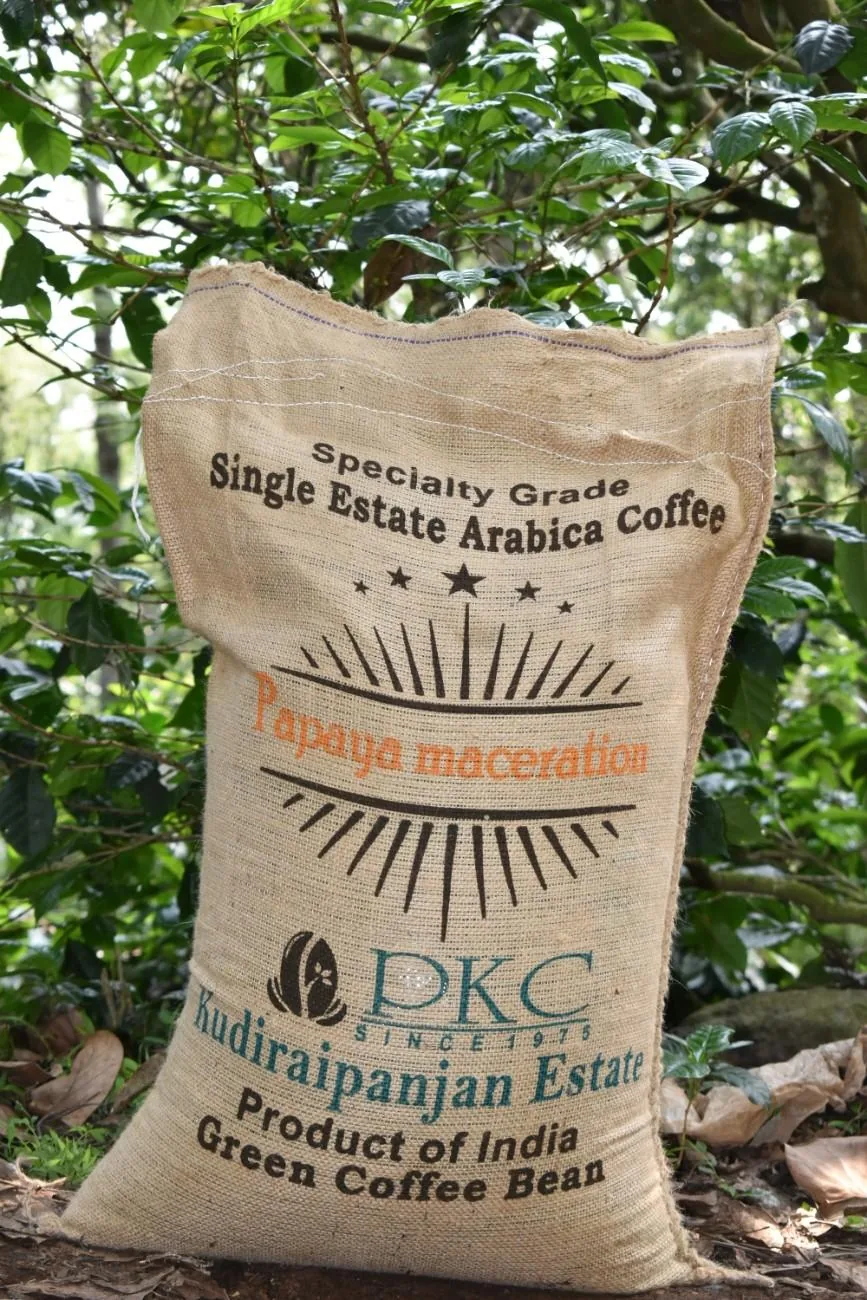 Crafting Excellence — Our Processing Journey — PKC Kudiraipanjan Estate