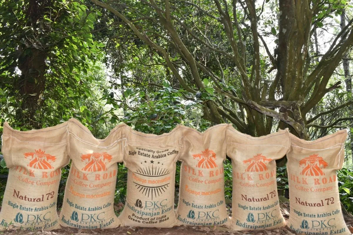 Crafting Excellence — Our Processing Journey — PKC Kudiraipanjan Estate