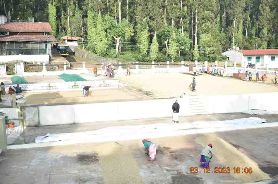 Moments From Our Farm — PKC Kudiraipanjan Estate