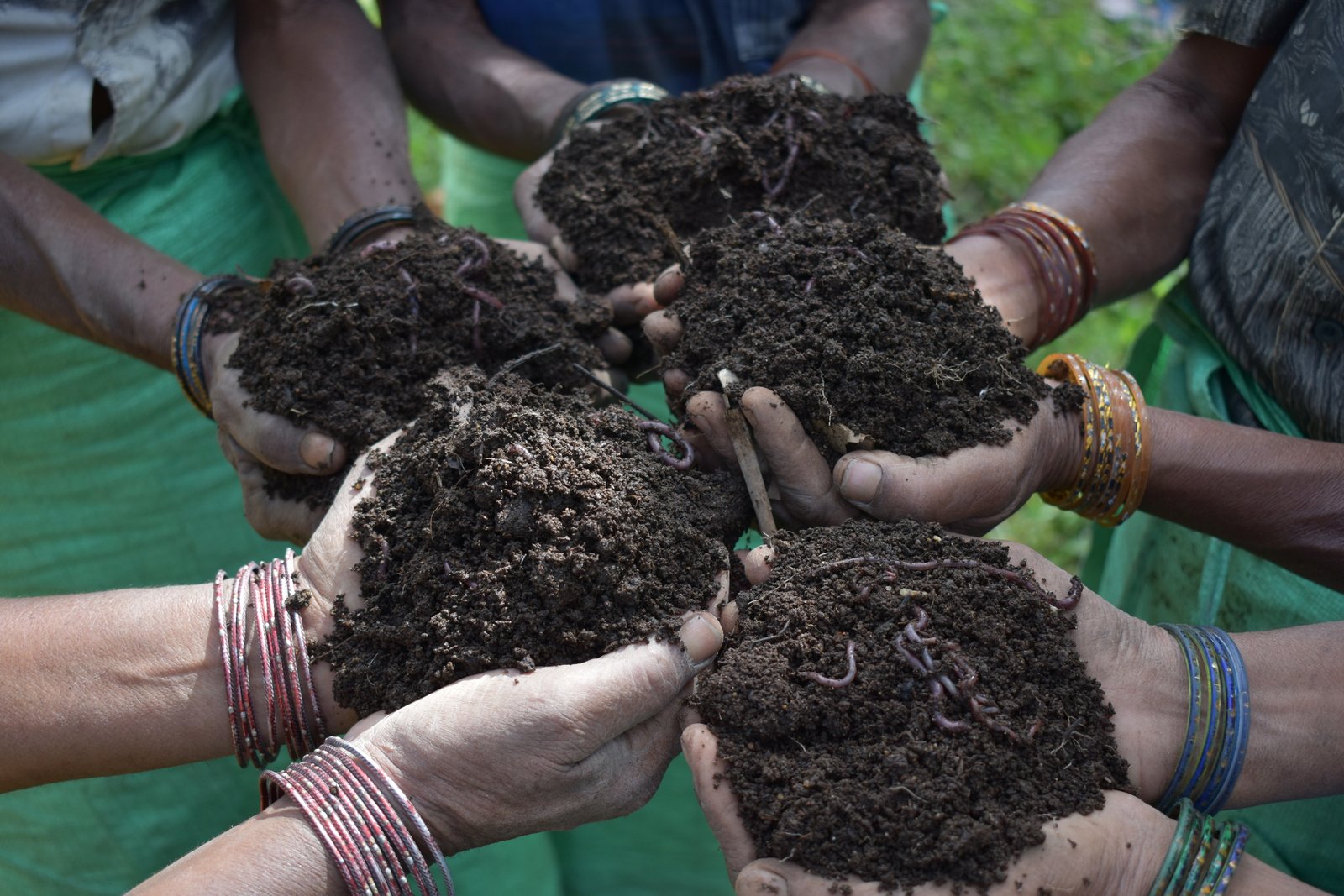 Organic practices at PKC