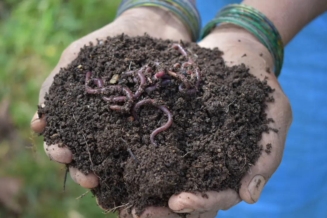 Organic practices at PKC
