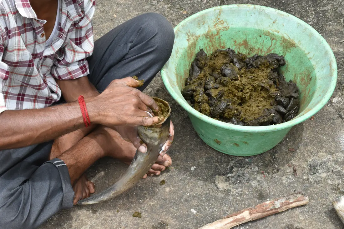 Organic practices at PKC